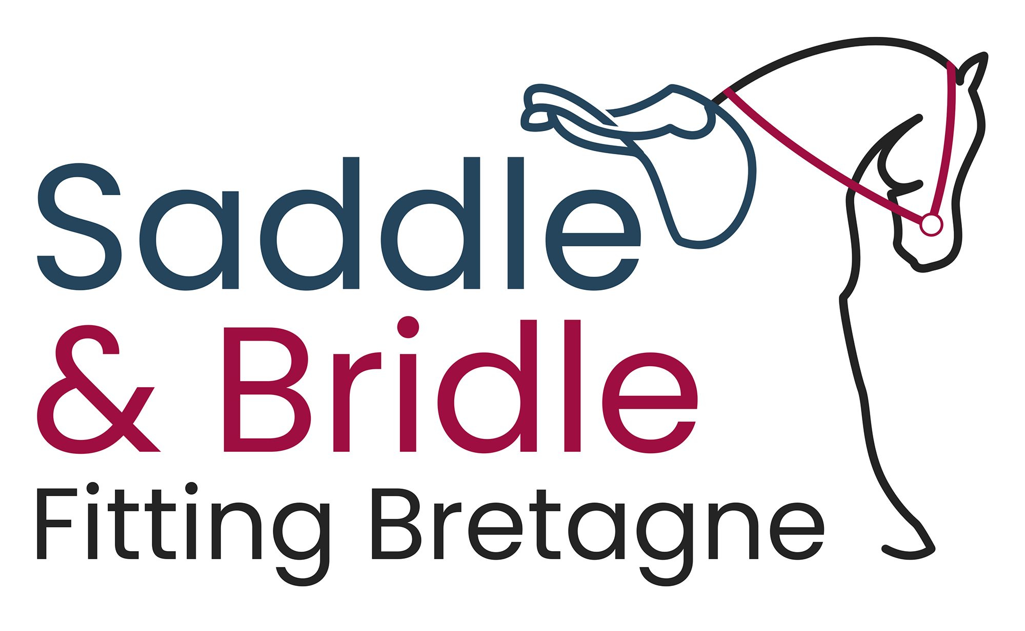 logo Saddle Fitting Bretagne